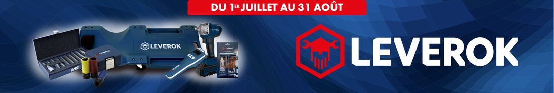 LE MEILLEUR DE LEVEROK